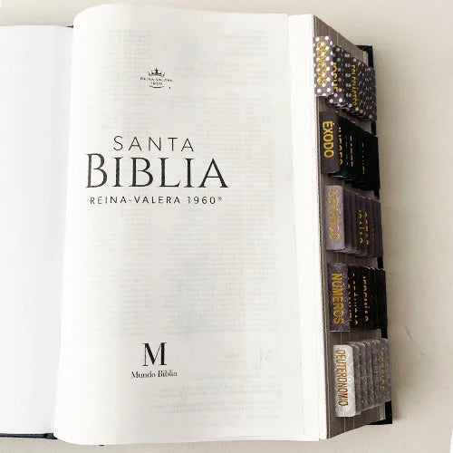 Biblia PERSONALIZADA León Deluxe Reina Valera 1960 Letra GRANDE con Liga